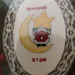 Kit for Ornament Designs for the Needle of Shining Christmas Star, Moon, Santa.